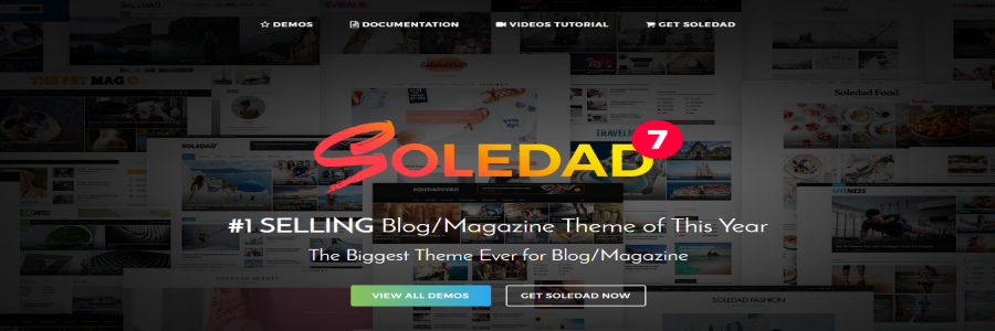 Soledad magazine theme