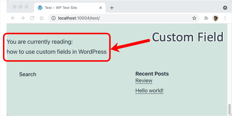 Displaying Custom Fields in WordPress